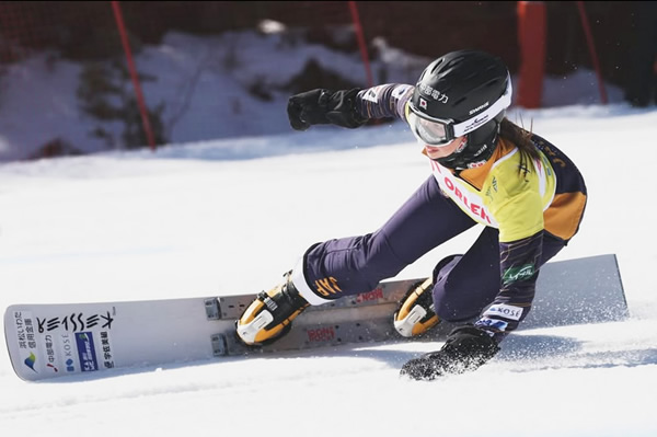 三木つばき入賞写真